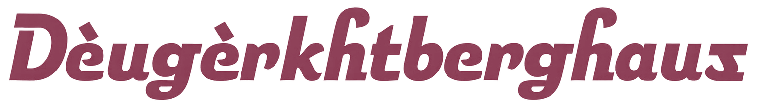 dewerkzeughaus.com logo