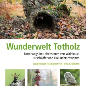Wunderwelt Totholz