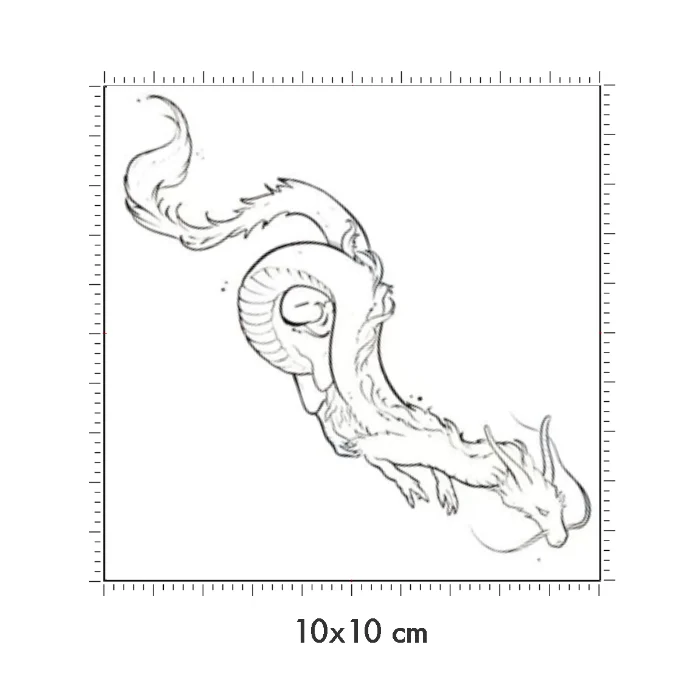 10 x 10 cm